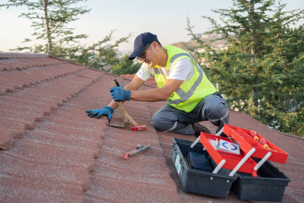 Best Roof Leak Repair  in Dinuba, CA